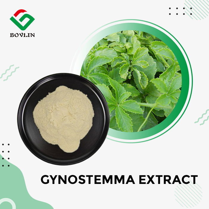 Gynostemma Extract Powder